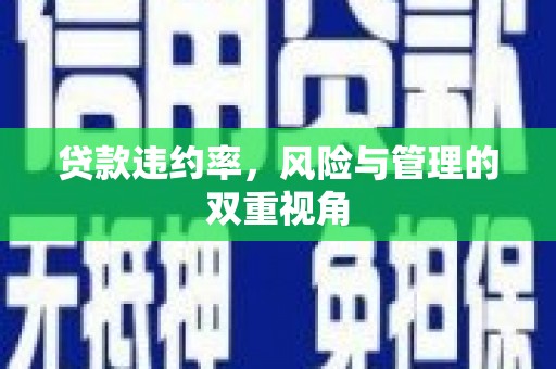 鄱阳贷款违约率，风险与管理的双重视角