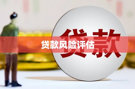 鄱阳贷款风险评估