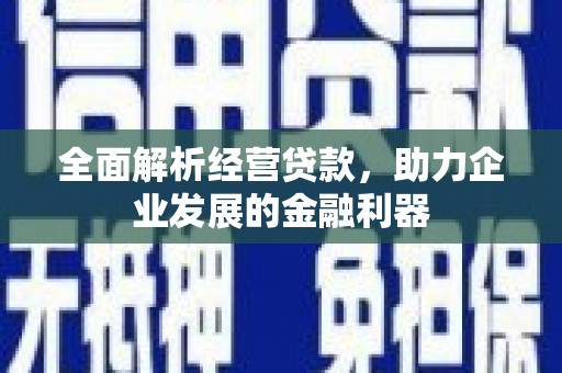 鄱阳全面解析经营贷款，助力企业发展的金融利器