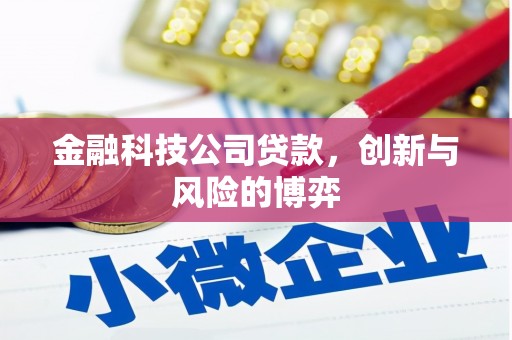 鄱阳金融科技公司贷款，创新与风险的博弈