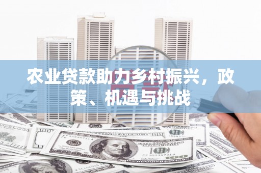 鄱阳农业贷款助力乡村振兴，政策、机遇与挑战