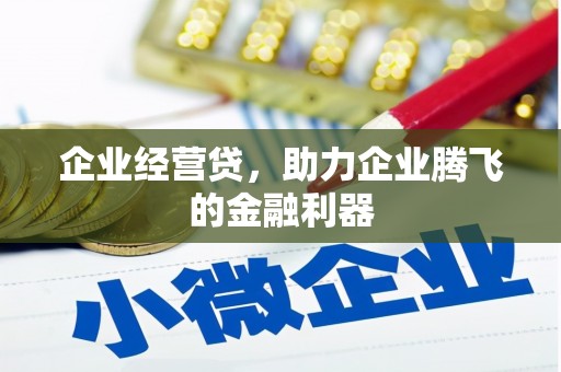 鄱阳企业经营贷，助力企业腾飞的金融利器