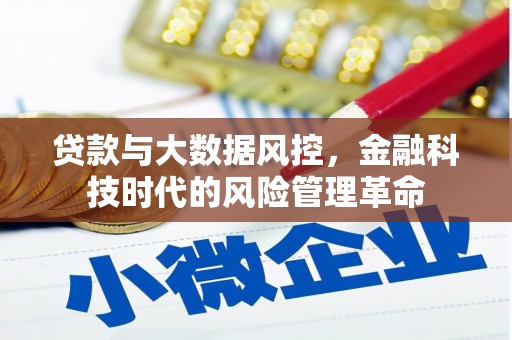 鄱阳贷款与大数据风控，金融科技时代的风险管理革命
