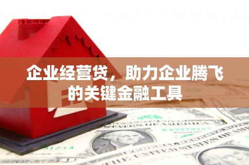 鄱阳企业经营贷，助力企业腾飞的关键金融工具