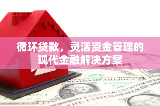 鄱阳循环贷款，灵活资金管理的现代金融解决方案