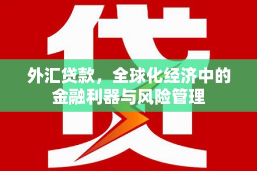 鄱阳外汇贷款，全球化经济中的金融利器与风险管理