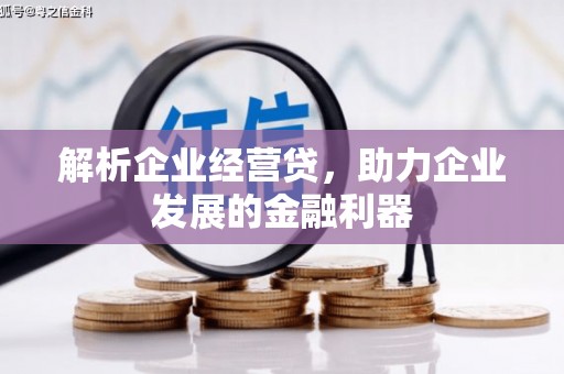 鄱阳解析企业经营贷，助力企业发展的金融利器