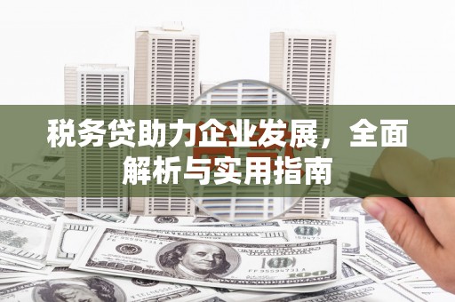 鄱阳税务贷助力企业发展，全面解析与实用指南