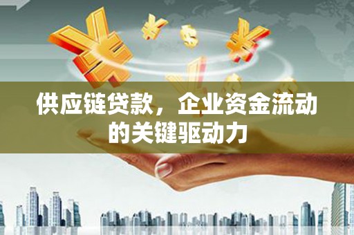 鄱阳供应链贷款，企业资金流动的关键驱动力