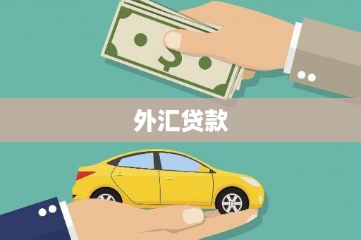鄱阳外汇贷款