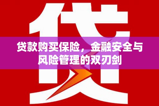 鄱阳贷款购买保险，金融安全与风险管理的双刃剑