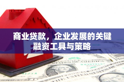 鄱阳商业贷款，企业发展的关键融资工具与策略