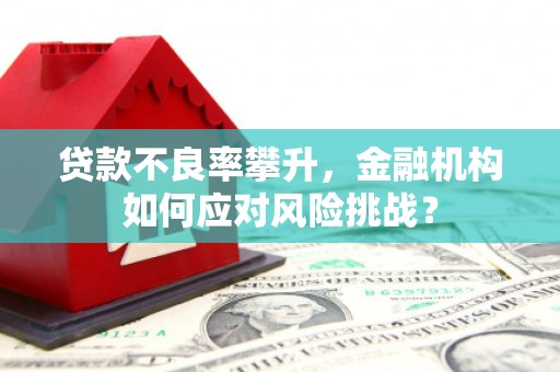 鄱阳贷款不良率攀升，金融机构如何应对风险挑战？