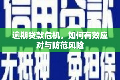 鄱阳逾期贷款危机，如何有效应对与防范风险