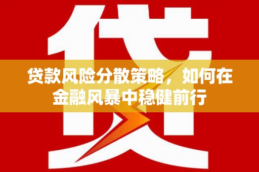 鄱阳贷款风险分散策略，如何在金融风暴中稳健前行