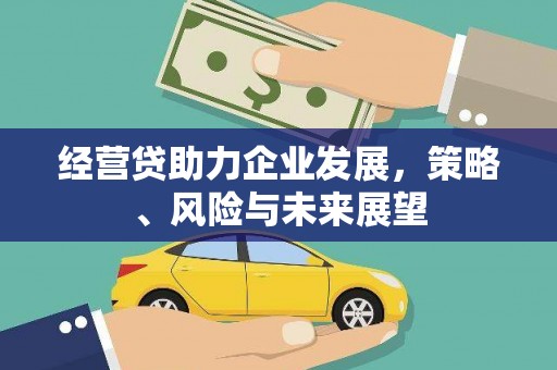 鄱阳经营贷助力企业发展，策略、风险与未来展望
