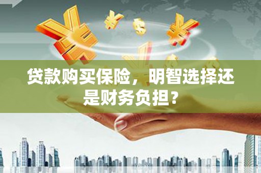 鄱阳贷款购买保险，明智选择还是财务负担？