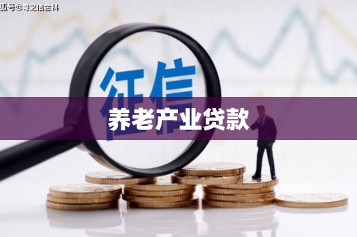 鄱阳养老产业贷款