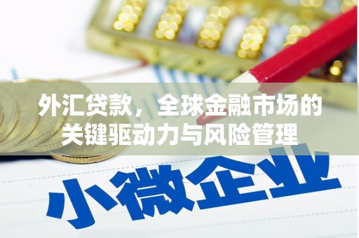 鄱阳外汇贷款，全球金融市场的关键驱动力与风险管理