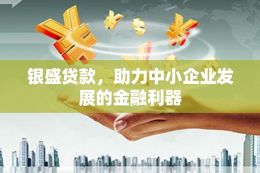 鄱阳银盛贷款，助力中小企业发展的金融利器