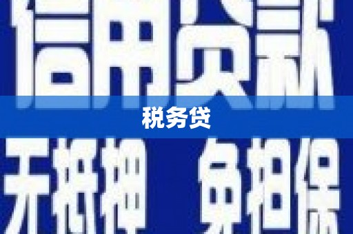 鄱阳税务贷