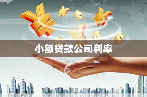 鄱阳小额贷款公司利率