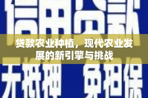 鄱阳贷款农业种植，现代农业发展的新引擎与挑战