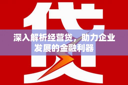 鄱阳深入解析经营贷，助力企业发展的金融利器