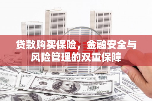 鄱阳贷款购买保险，金融安全与风险管理的双重保障