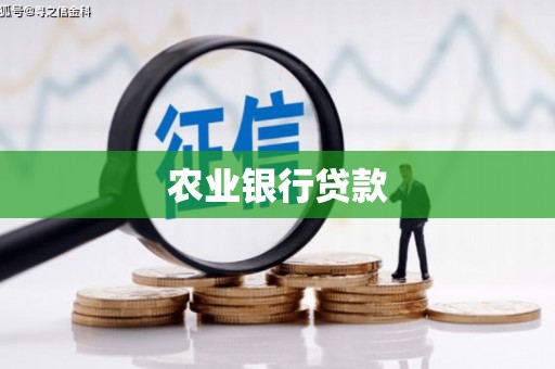 鄱阳农业银行贷款