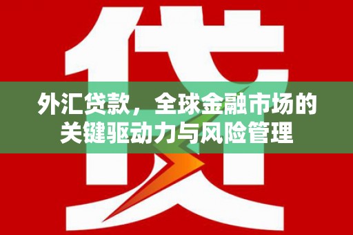 鄱阳外汇贷款，全球金融市场的关键驱动力与风险管理