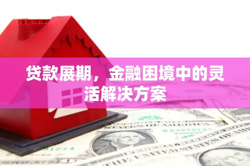 鄱阳贷款展期，金融困境中的灵活解决方案