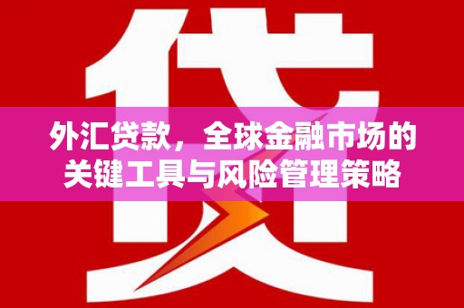 鄱阳外汇贷款，全球金融市场的关键工具与风险管理策略