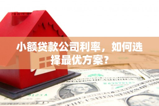 鄱阳小额贷款公司利率，如何选择最优方案？