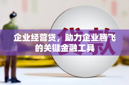 鄱阳企业经营贷，助力企业腾飞的关键金融工具