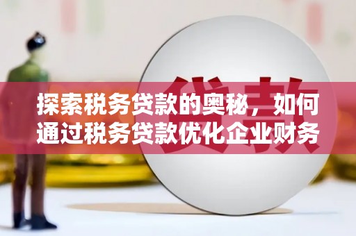 鄱阳探索税务贷款的奥秘，如何通过税务贷款优化企业财务