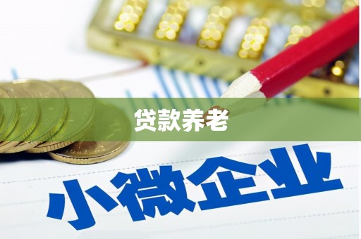 鄱阳贷款养老