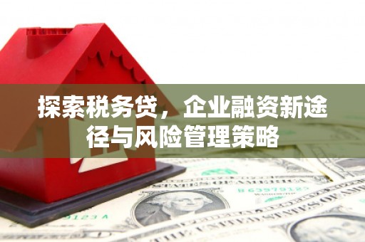 鄱阳探索税务贷，企业融资新途径与风险管理策略