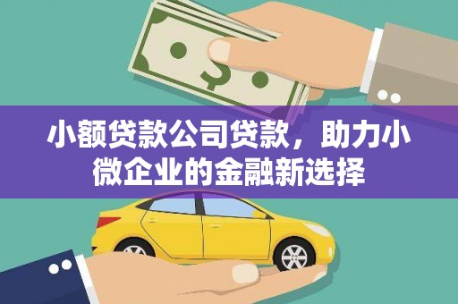 鄱阳小额贷款公司贷款，助力小微企业的金融新选择