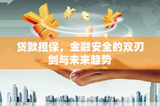 鄱阳贷款担保，金融安全的双刃剑与未来趋势