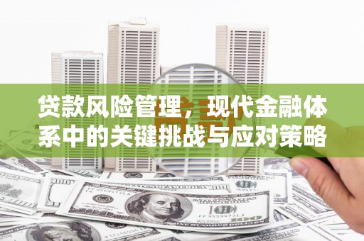 鄱阳贷款风险管理，现代金融体系中的关键挑战与应对策略