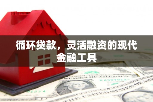 鄱阳循环贷款，灵活融资的现代金融工具