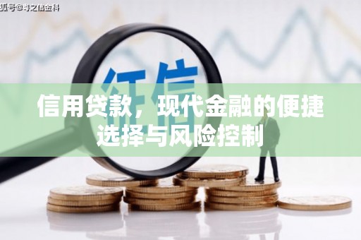 鄱阳信用贷款，现代金融的便捷选择与风险控制