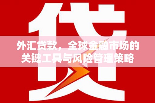 鄱阳外汇贷款，全球金融市场的关键工具与风险管理策略