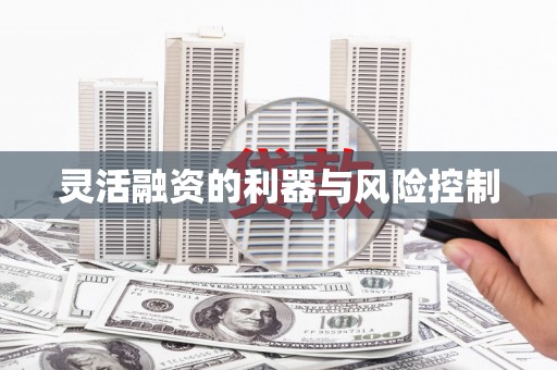 鄱阳灵活融资的利器与风险控制