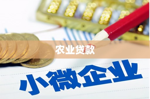 鄱阳农业贷款
