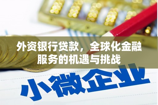鄱阳外资银行贷款，全球化金融服务的机遇与挑战