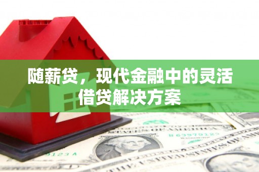 鄱阳随薪贷，现代金融中的灵活借贷解决方案