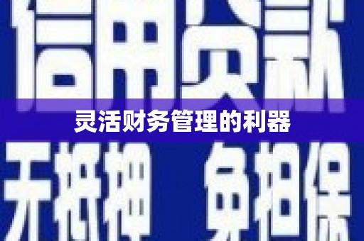 鄱阳灵活财务管理的利器