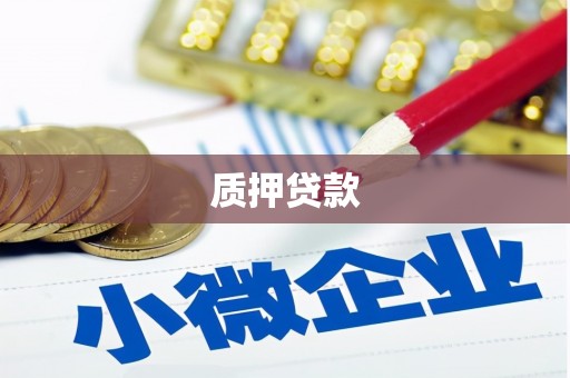 鄱阳质押贷款